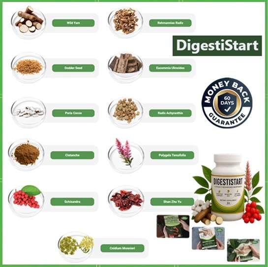 DigestiStart